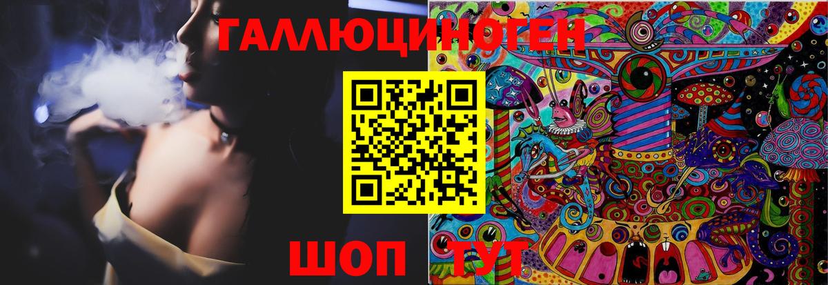 Псилоцибиновые грибы Psilocybe Заводоуковск